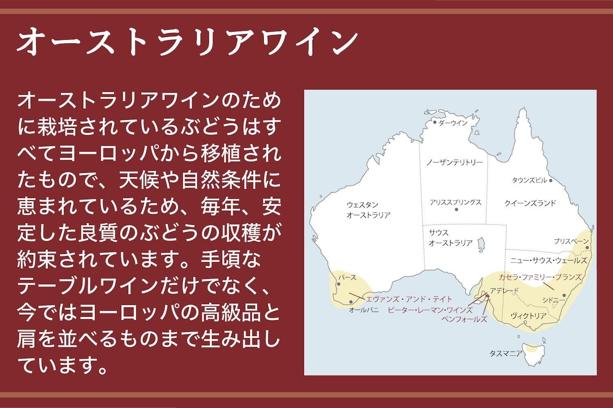  ビン8・シラーズ・カベルネ画像3 