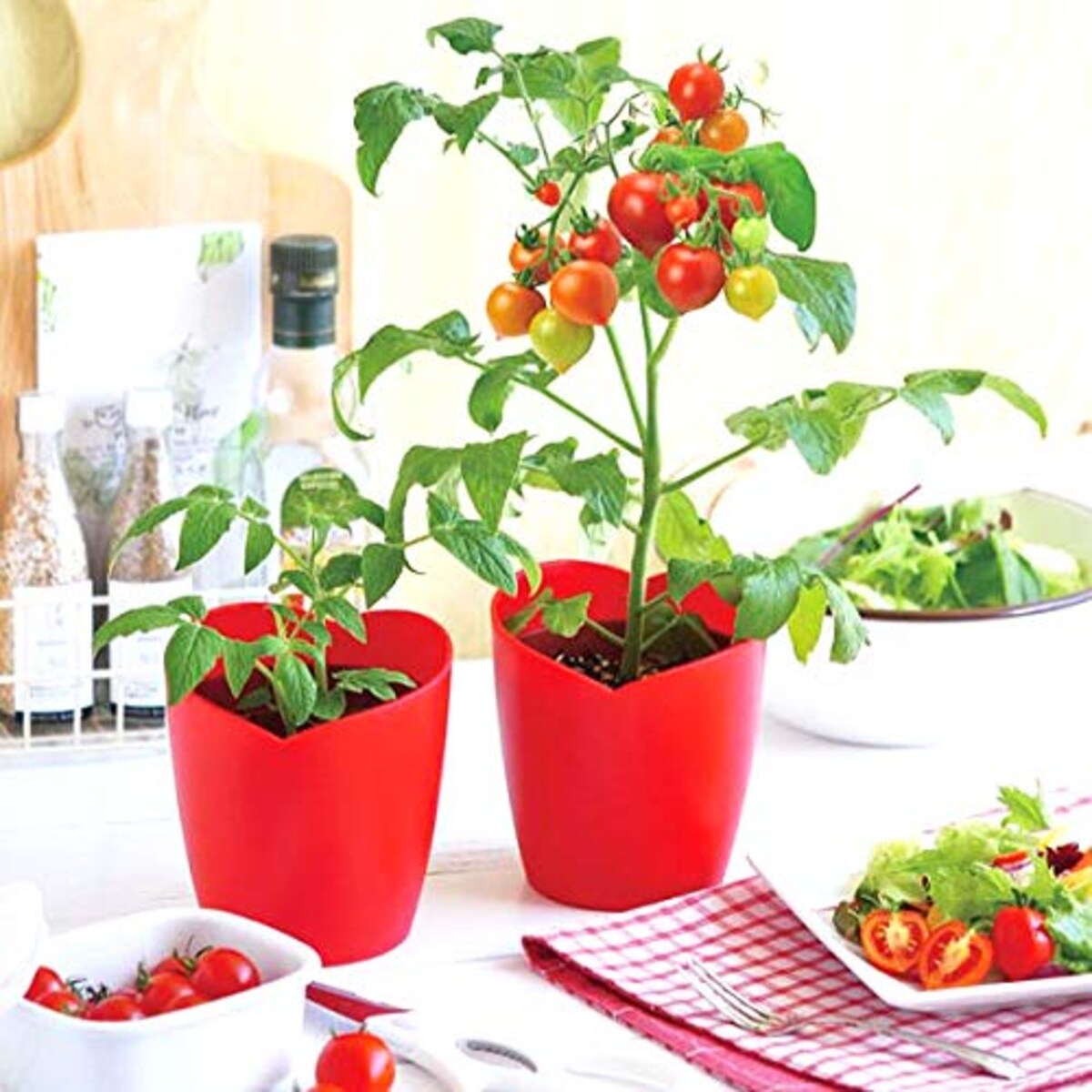  ハートの実がなるハートマト栽培セット[種から育てるミニトマトの栽培セット]画像2 