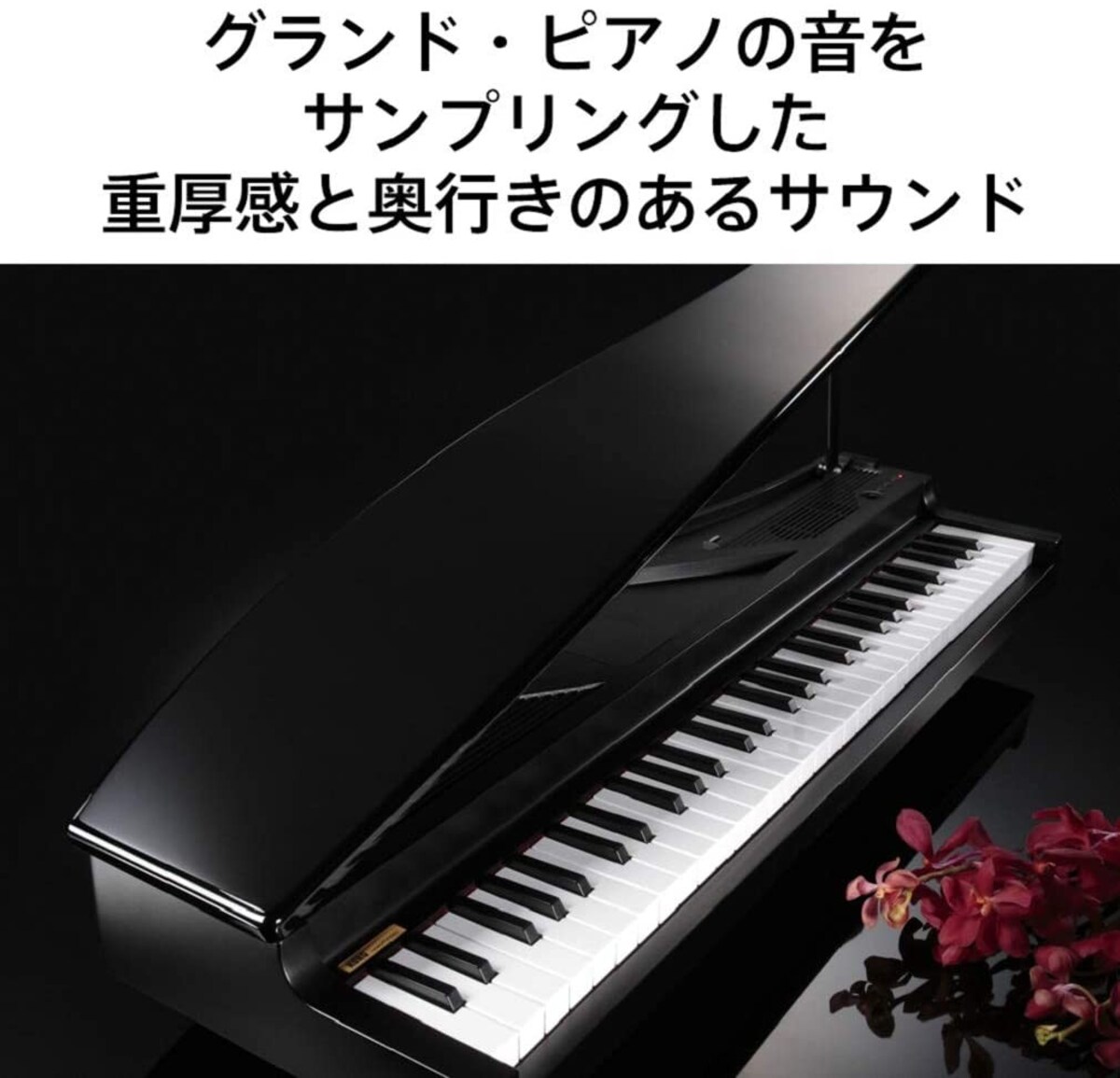  microPIANO(マイクロピアノ)画像3 