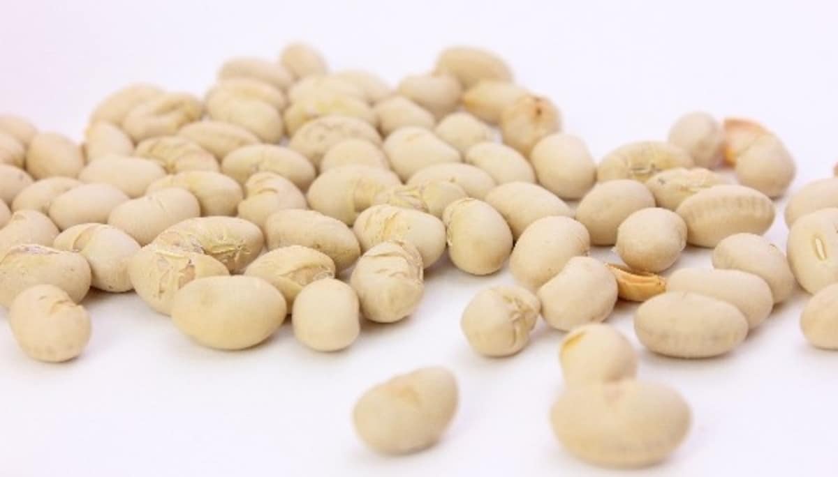 Daizu (Soy Beans)