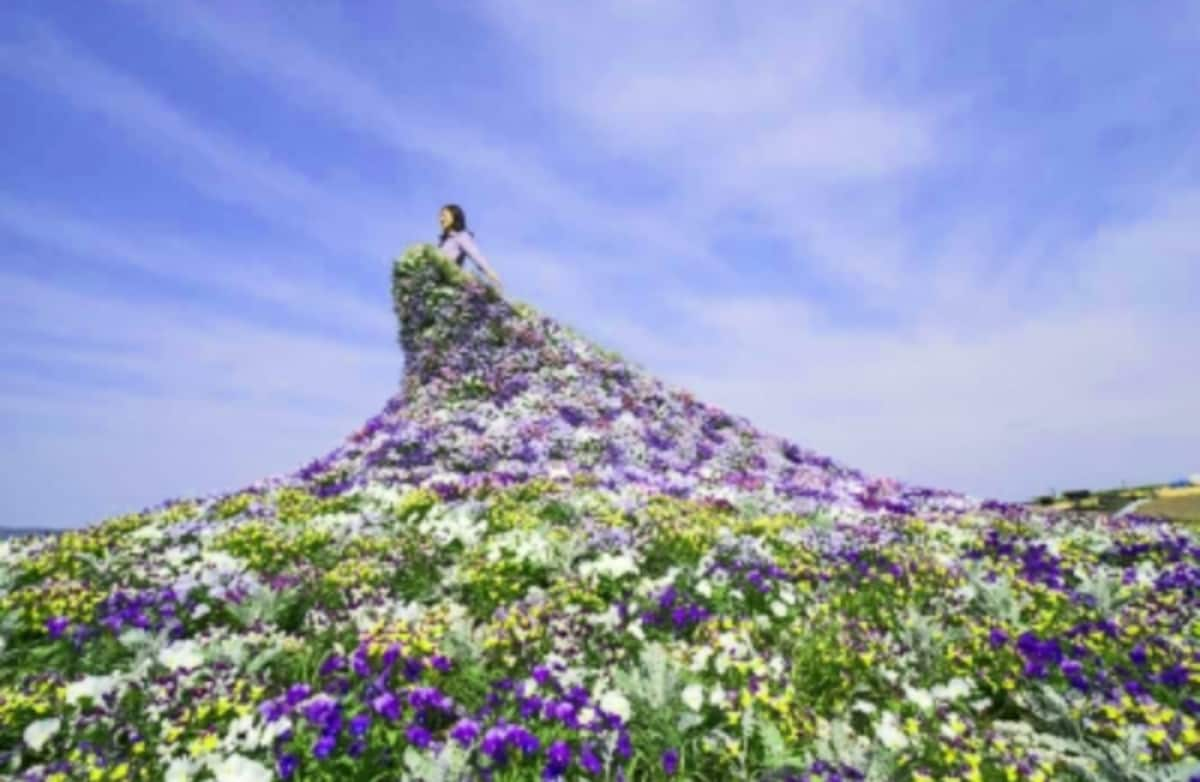 Daisetsu Mori no Garden (Kamikawa)