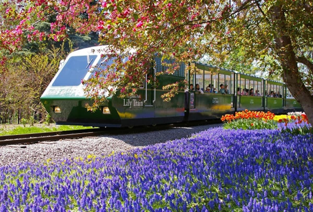 Yurigahara Park (Sapporo)