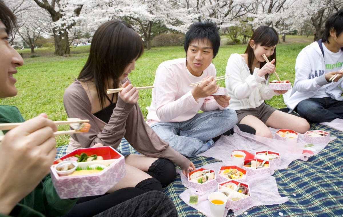 The History and Culture of Bento Boxes - 3 Boys and a Dog