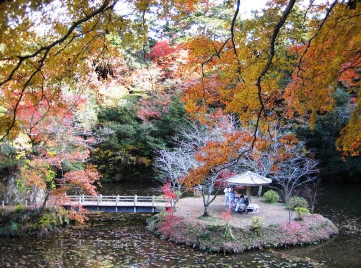 5 Stunning Fall Spots on the Boso Peninsula | All About Japan