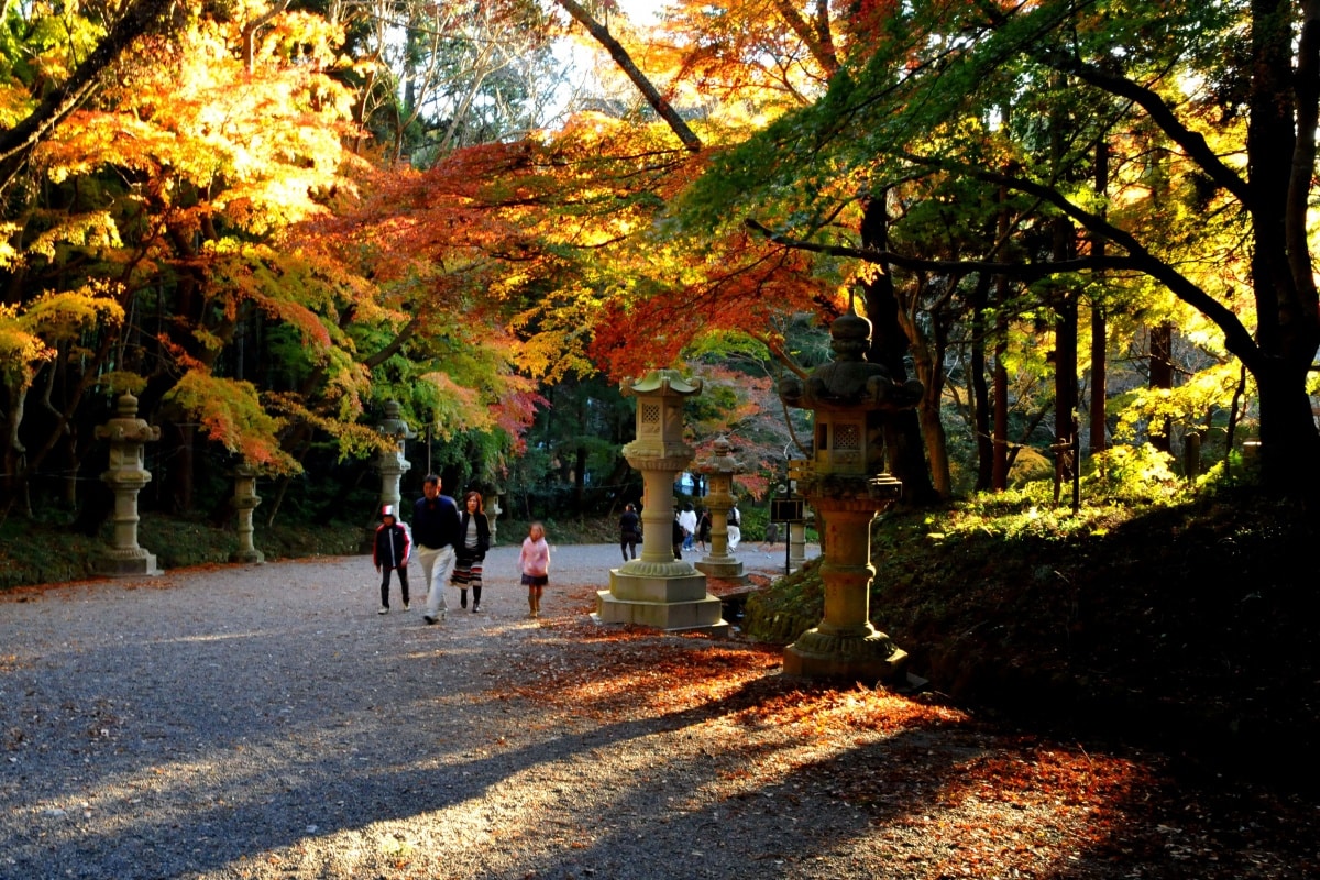 2. Katori Shrine (Katori City)