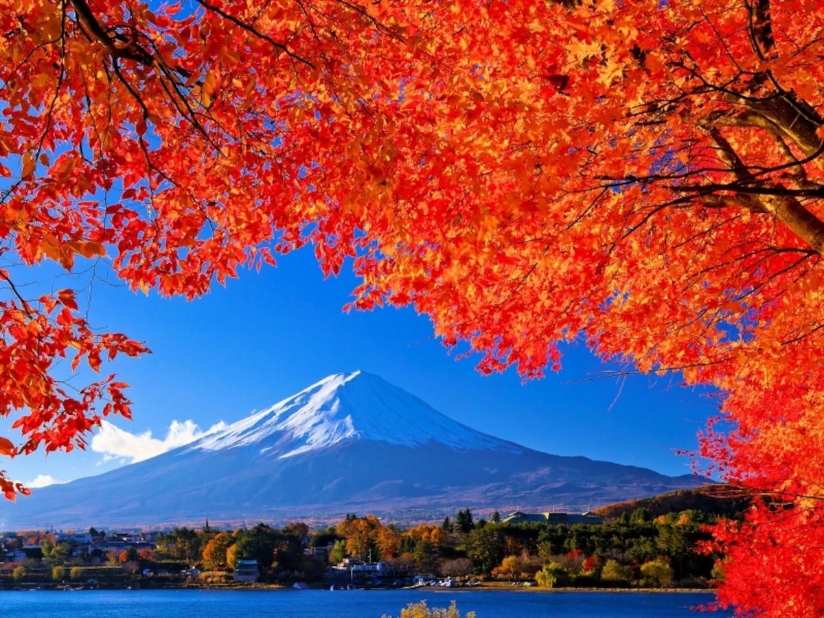 4. North Shore of Lake Kawaguchi (Yamanashi)