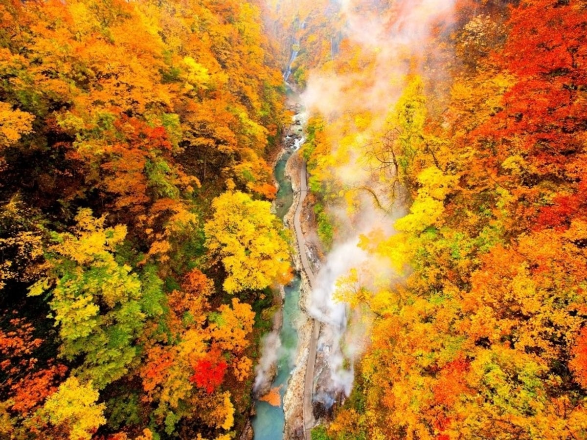 All the Best Fall Color Spots in Tohoku | All About Japan