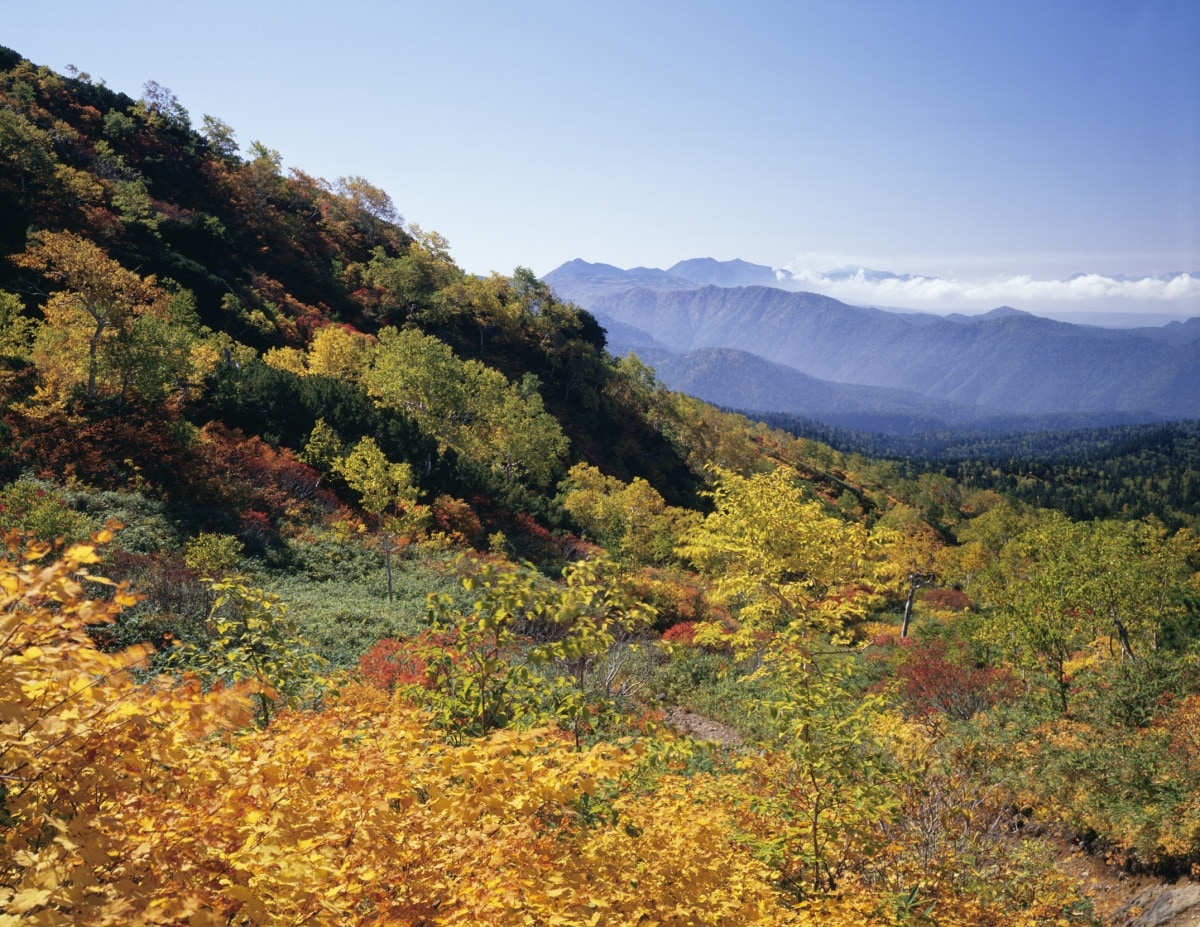 Autumn Starts In Daisetsuzan All About Japan