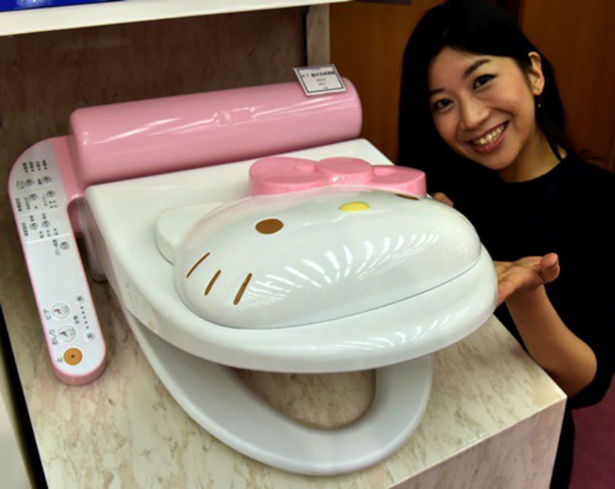  Hello Kitty Toilet  Seat Cover Bidet All About Japan