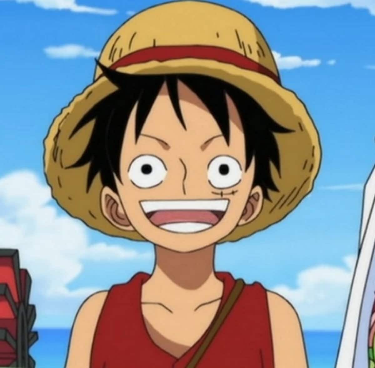 hottest one piece characters male