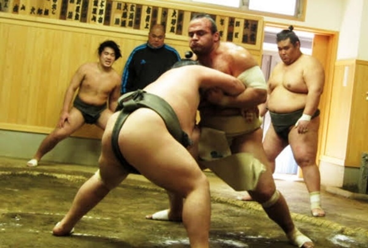 6. Cheer on the Wrestlers at a Sumo Tournament