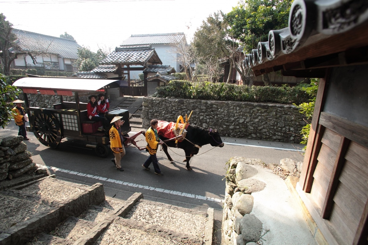 4. แปลงร่างเป็นซามูไรที่ Izumifumoto (Kagoshima)