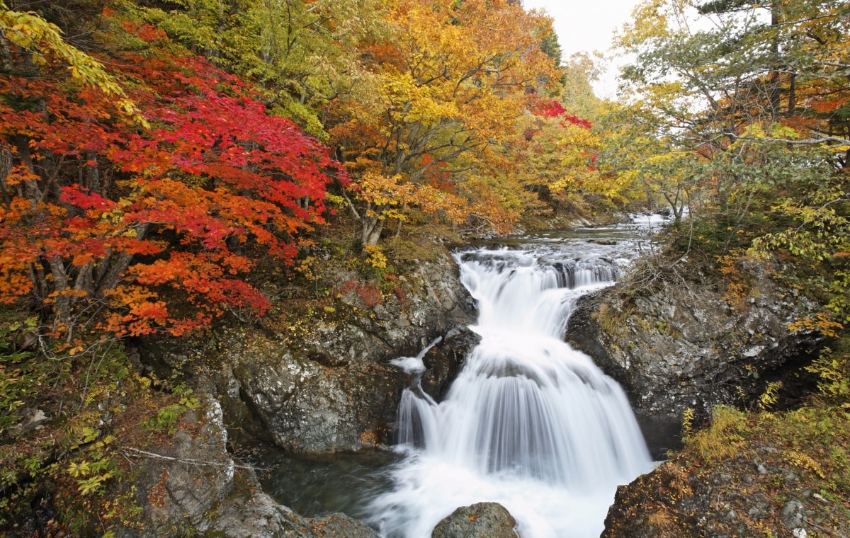 4. Awamata Falls