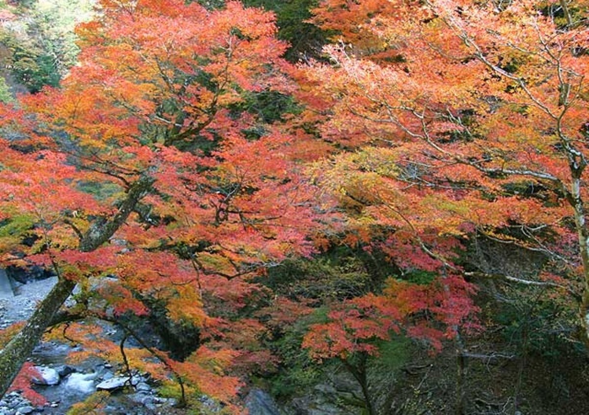 3. Nakatsu Valley