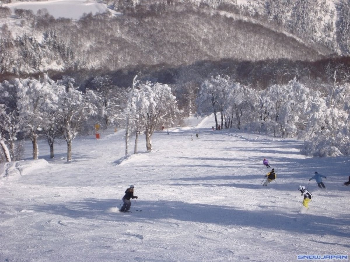 Nozawa Onsen