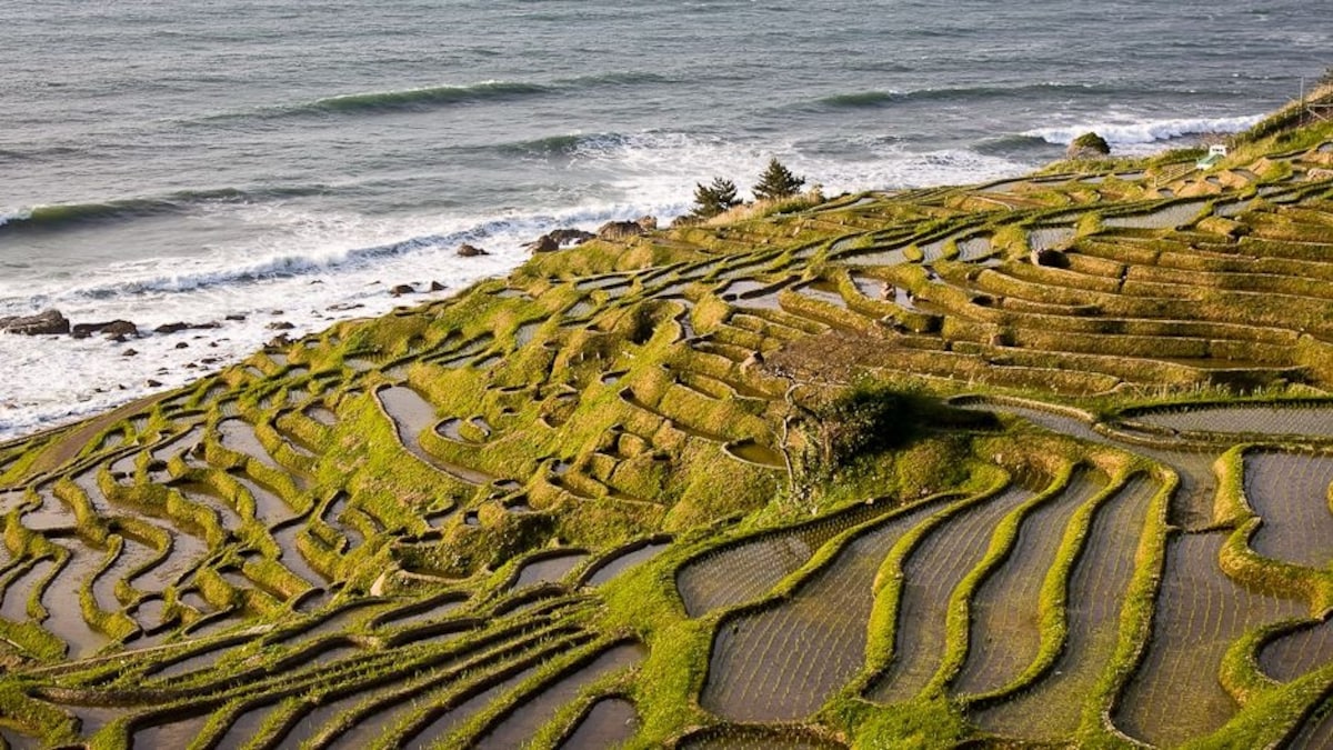 Rice Terraces on the Noto Peninsula (Ishikawa)