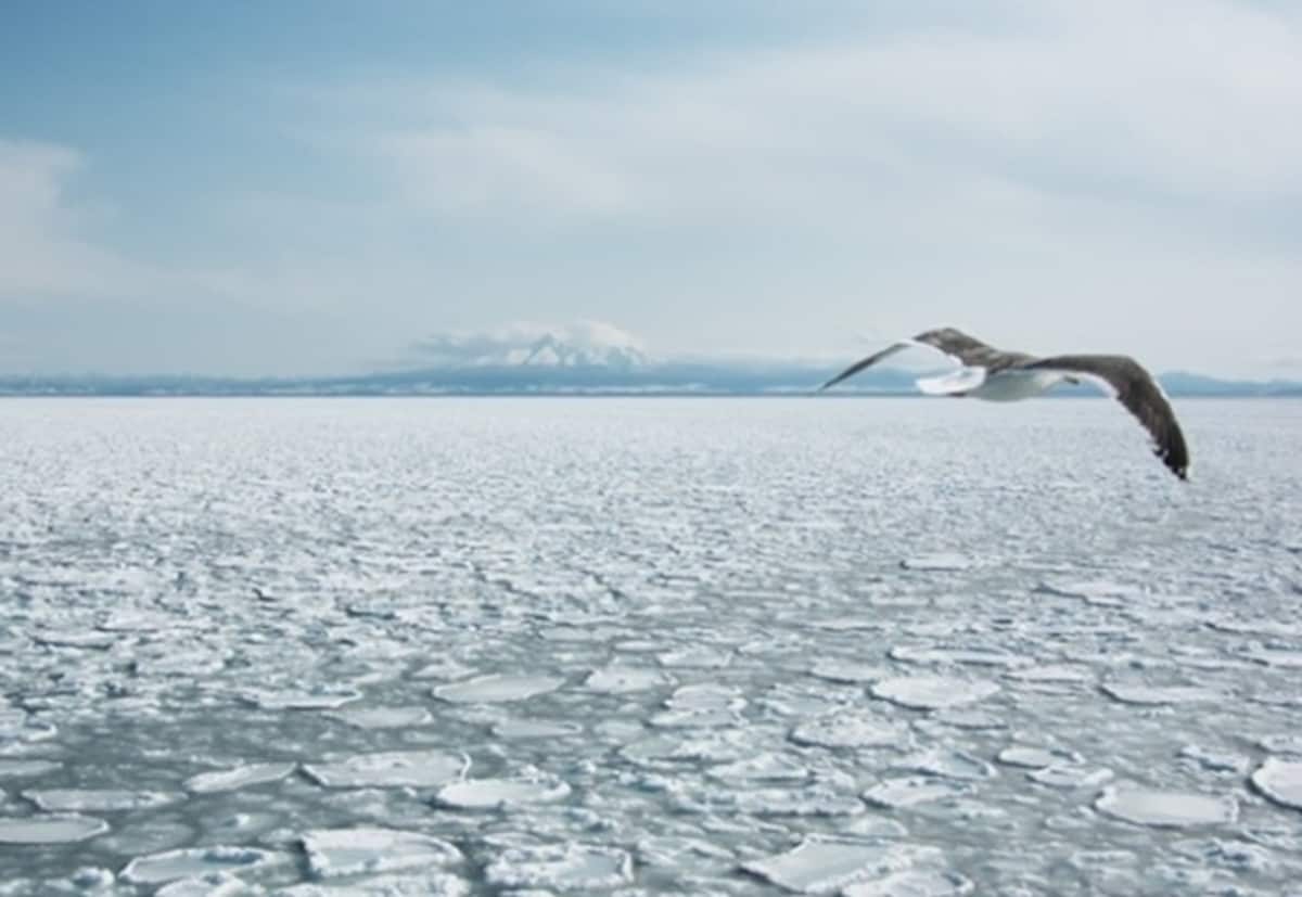 4. Sea of Okhotsk