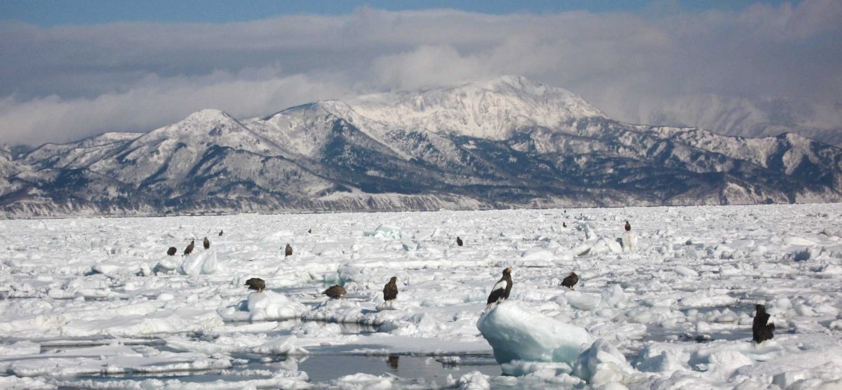 The Rausu Coast (Hokkaido)