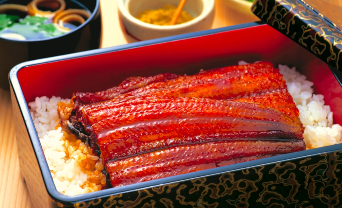 2. Unaju: Eel on Rice