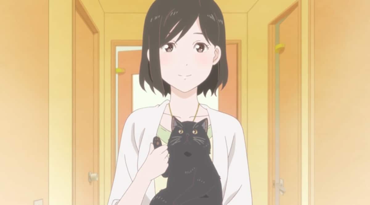 makoto shinkai she and her cat