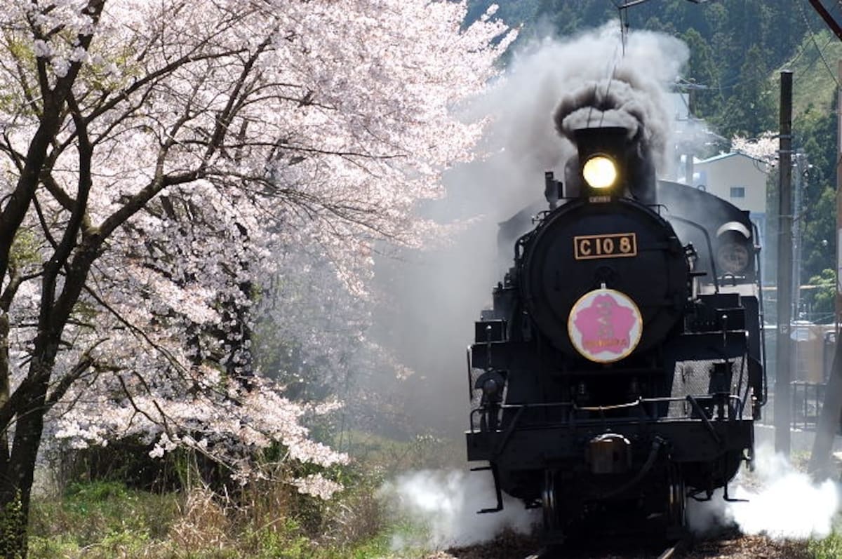 4. Oigawa Railway (Shizuoka)