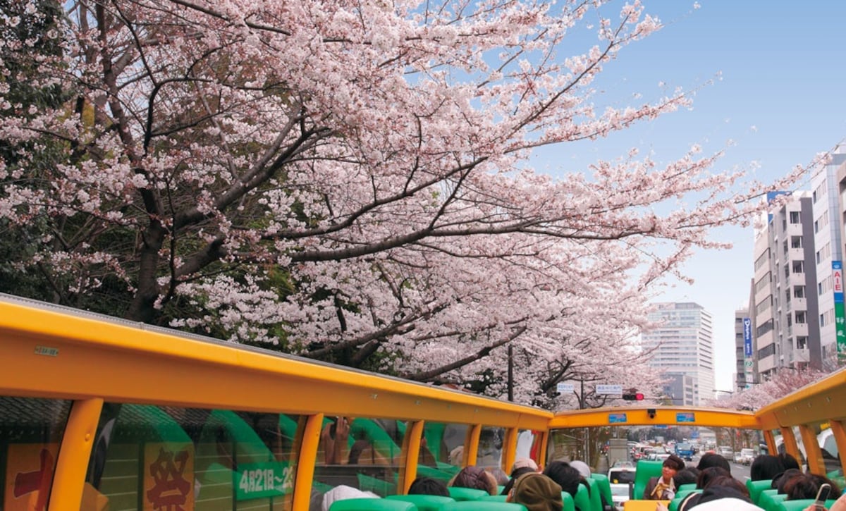 1. รถบัสเปิดหลังคา Sky Bus (Tokyo)