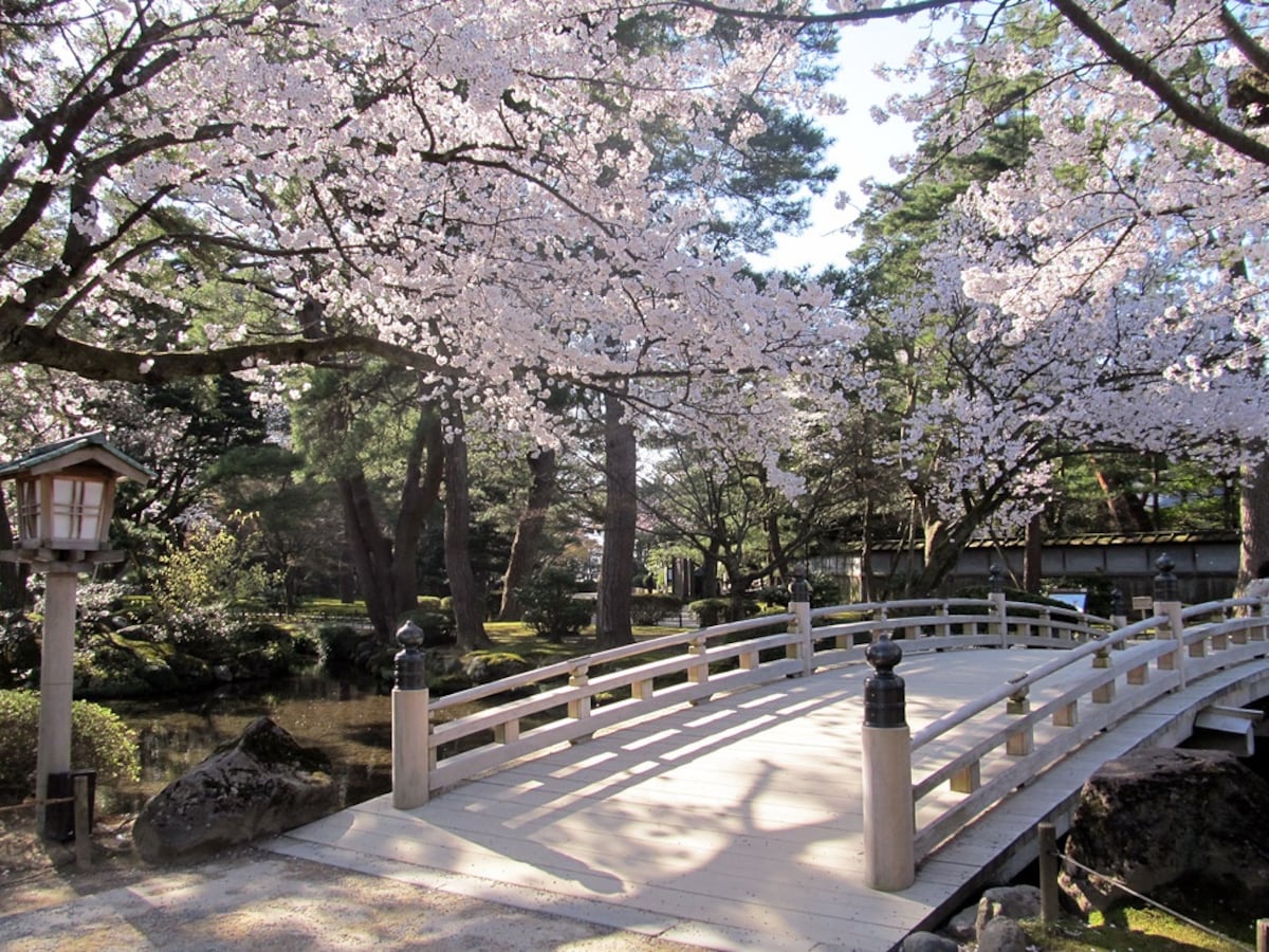 парк уэно в японии
