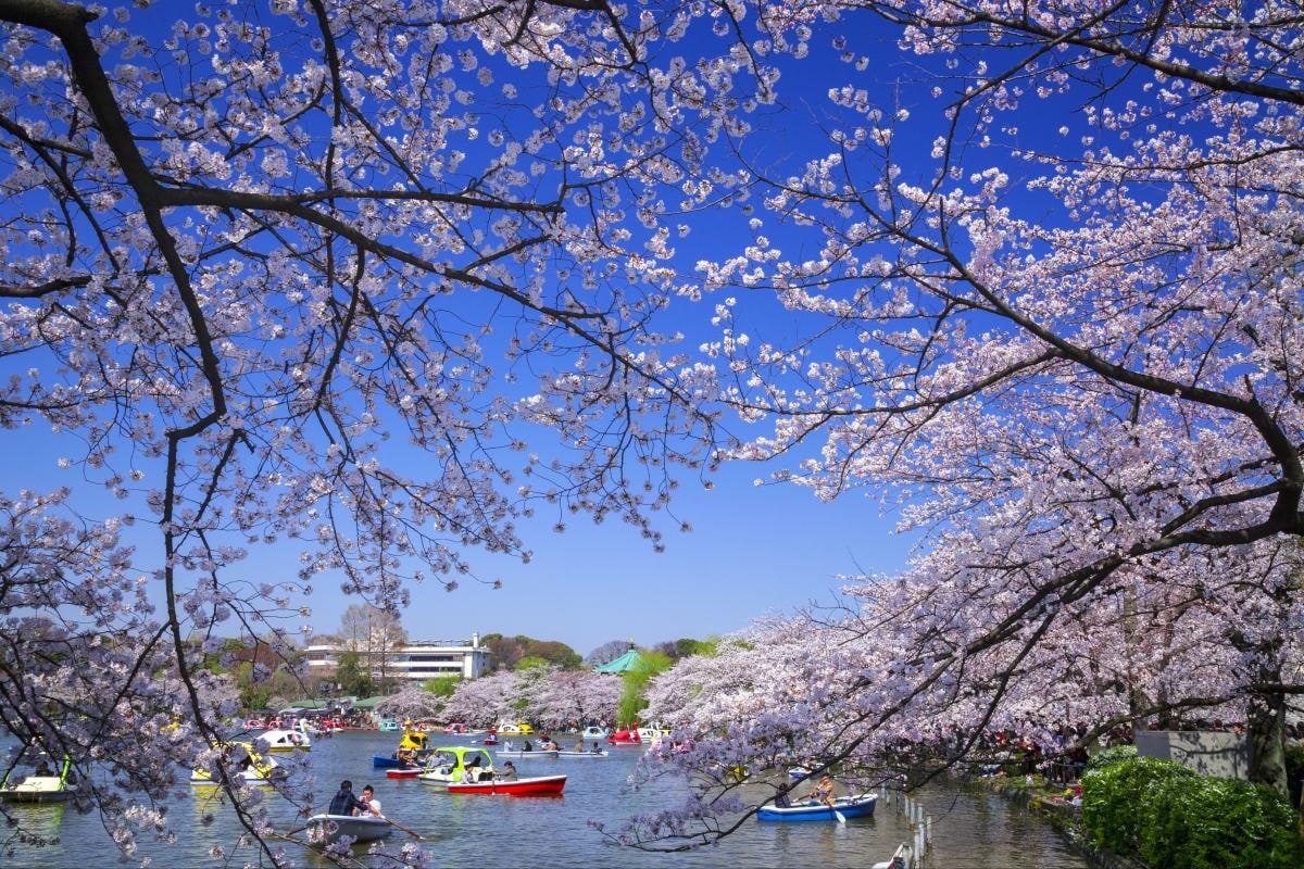 【東京】淺草寺周邊