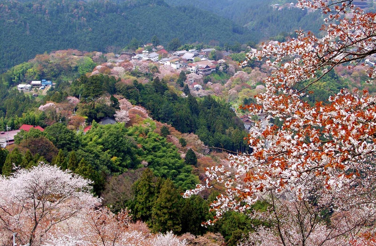 【奈良】吉野山全域