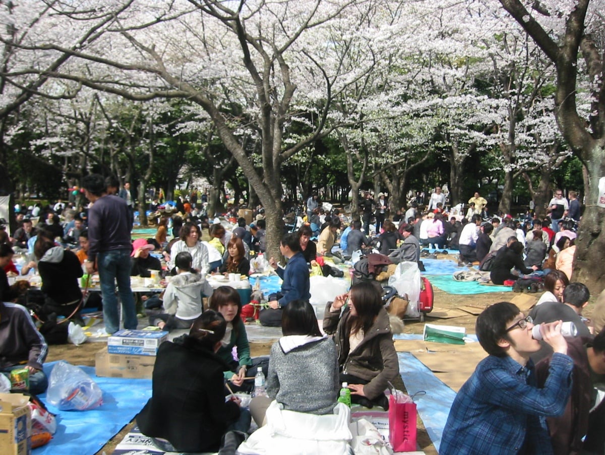 2. Where & How to Hanami