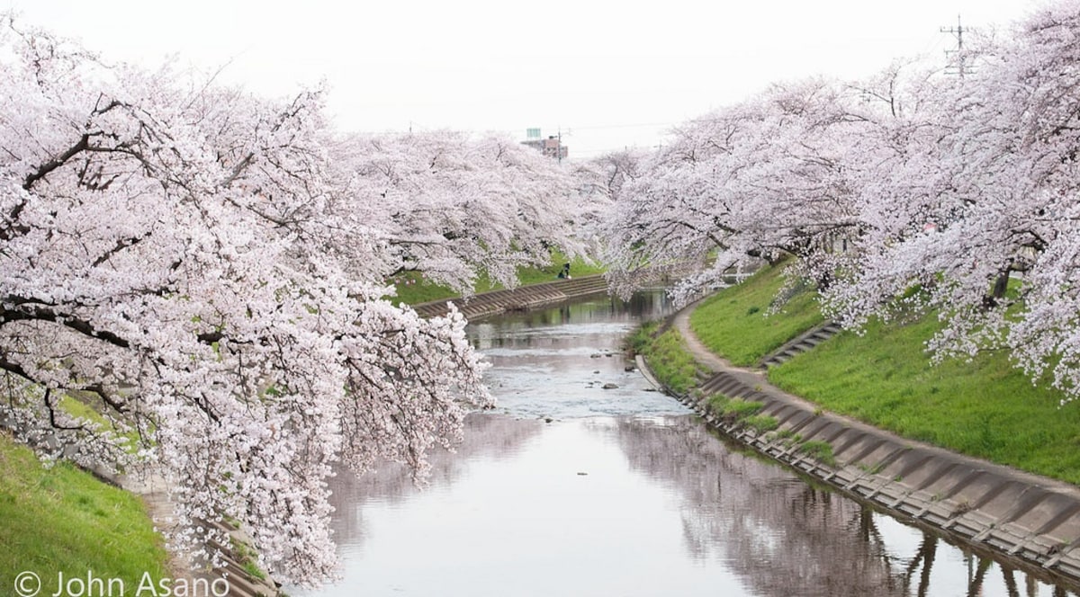 2. Shinsakai River (Kakamigahara City, Gifu)