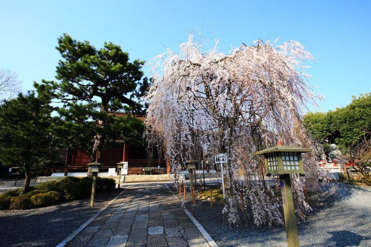 2. 大报恩寺・千本釈迦堂