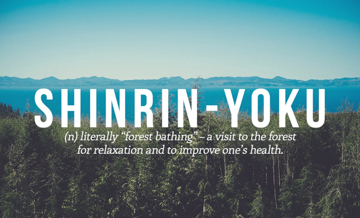 7. Shinrin-yoku