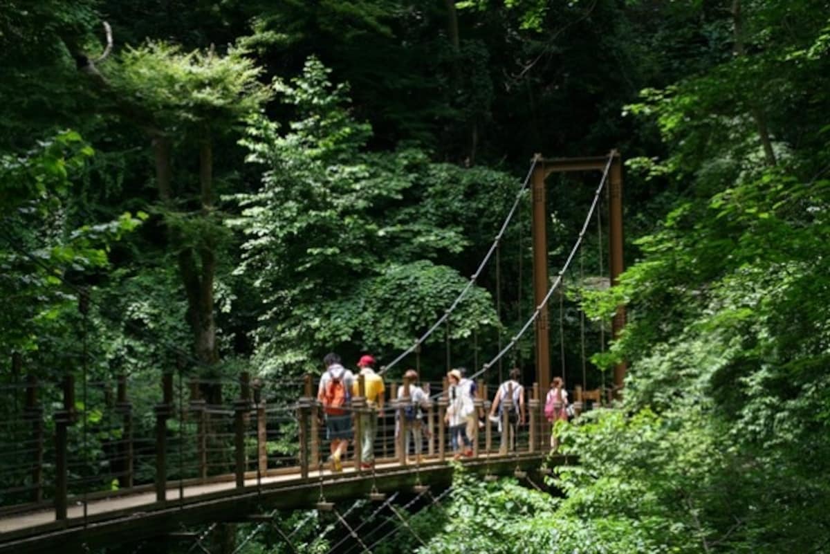 4. Mount Takao