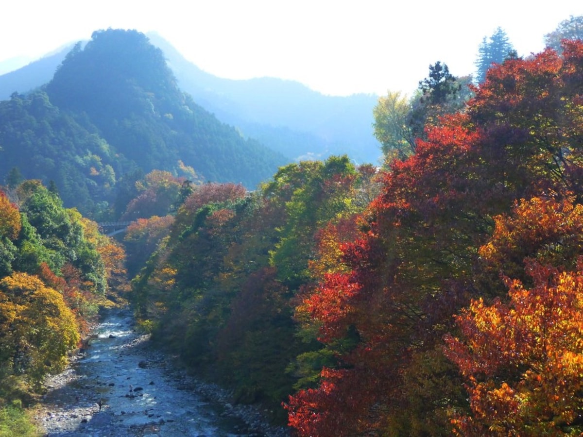 2. Okutama จังหวัด Tokyo