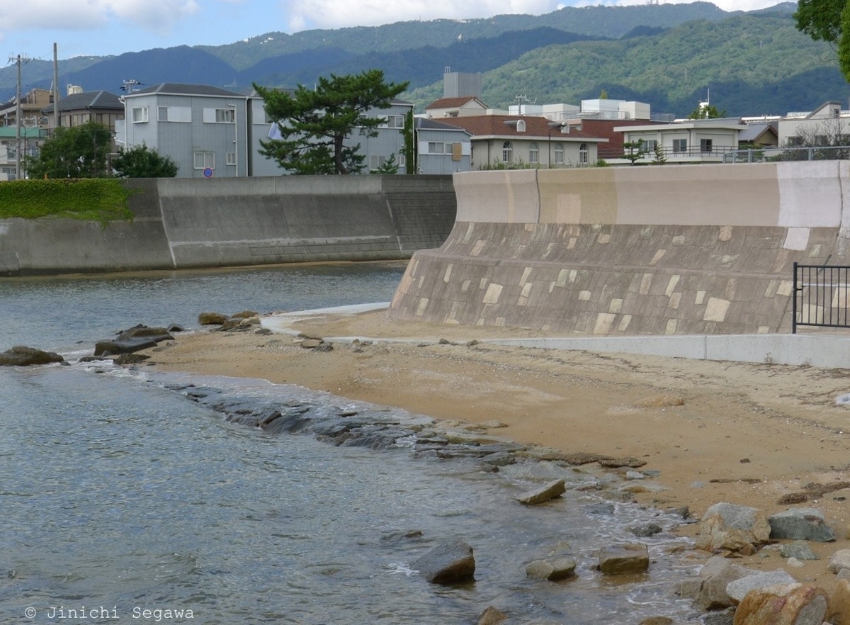 五十米的海岸线—《寻羊冒险记》