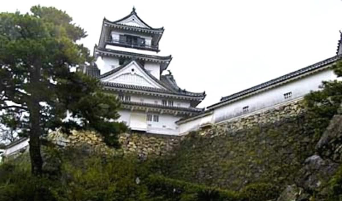 2. Kochi Castle (Kochi City, Kochi, ☆☆☆☆)