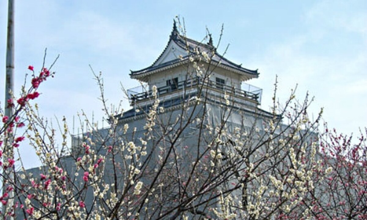 7. Shimabara Castle (Shimabara City, Nagasaki, ☆☆☆☆)