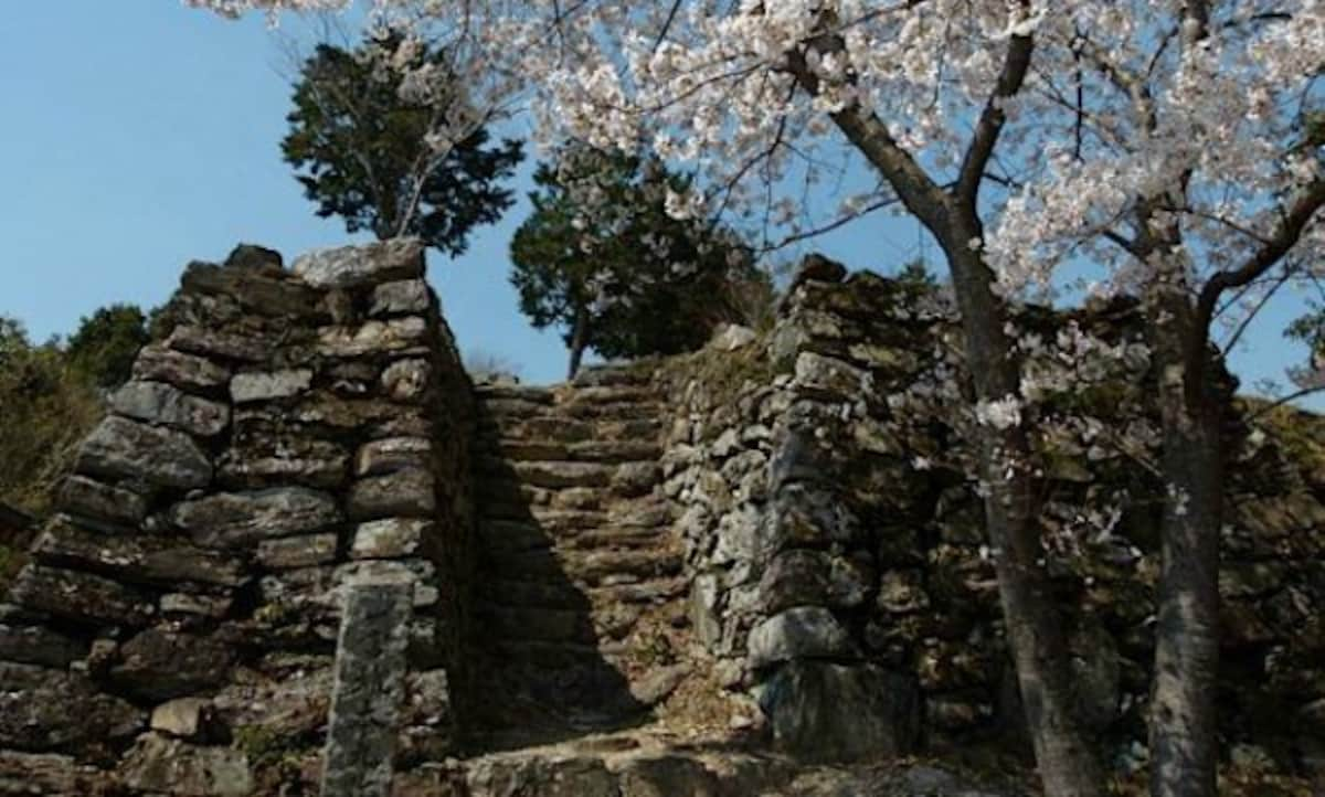 11. Ichinomiya Castle (Tokushima City, Tokushima, ☆☆)