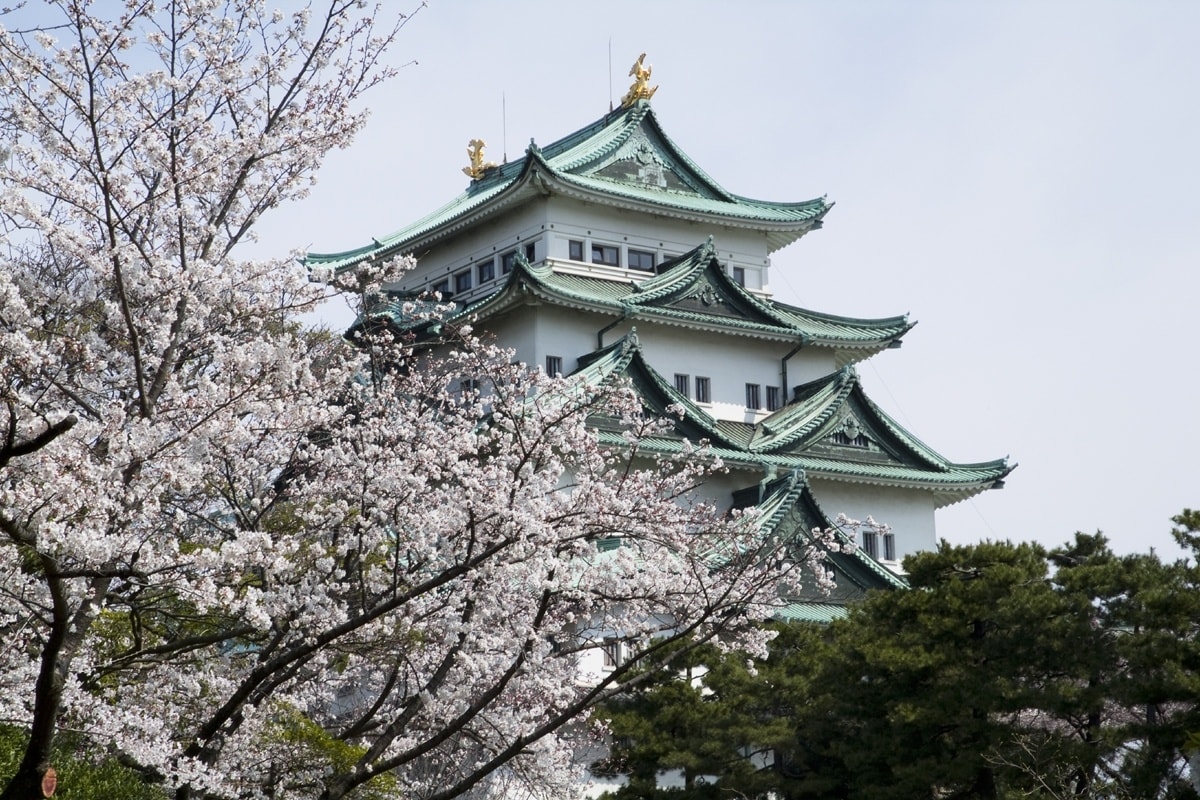 3. Nagoya Castle (Nagoya City, Aichi)