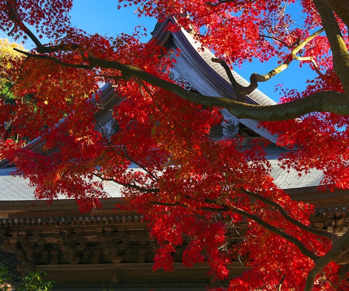 神奈川县【建长寺】