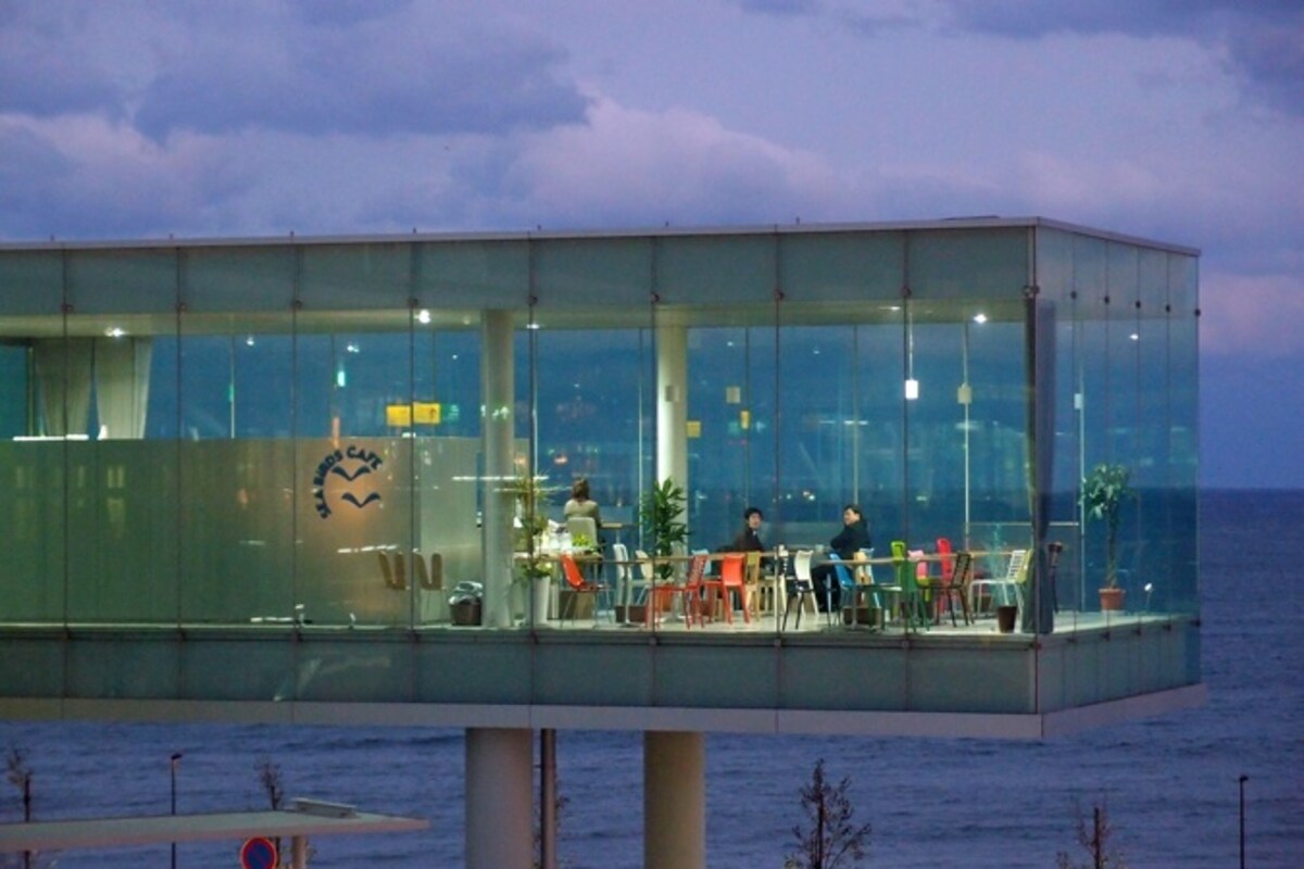 6. SEA BiRDS CAFE (จังหวัด Ibaraki)