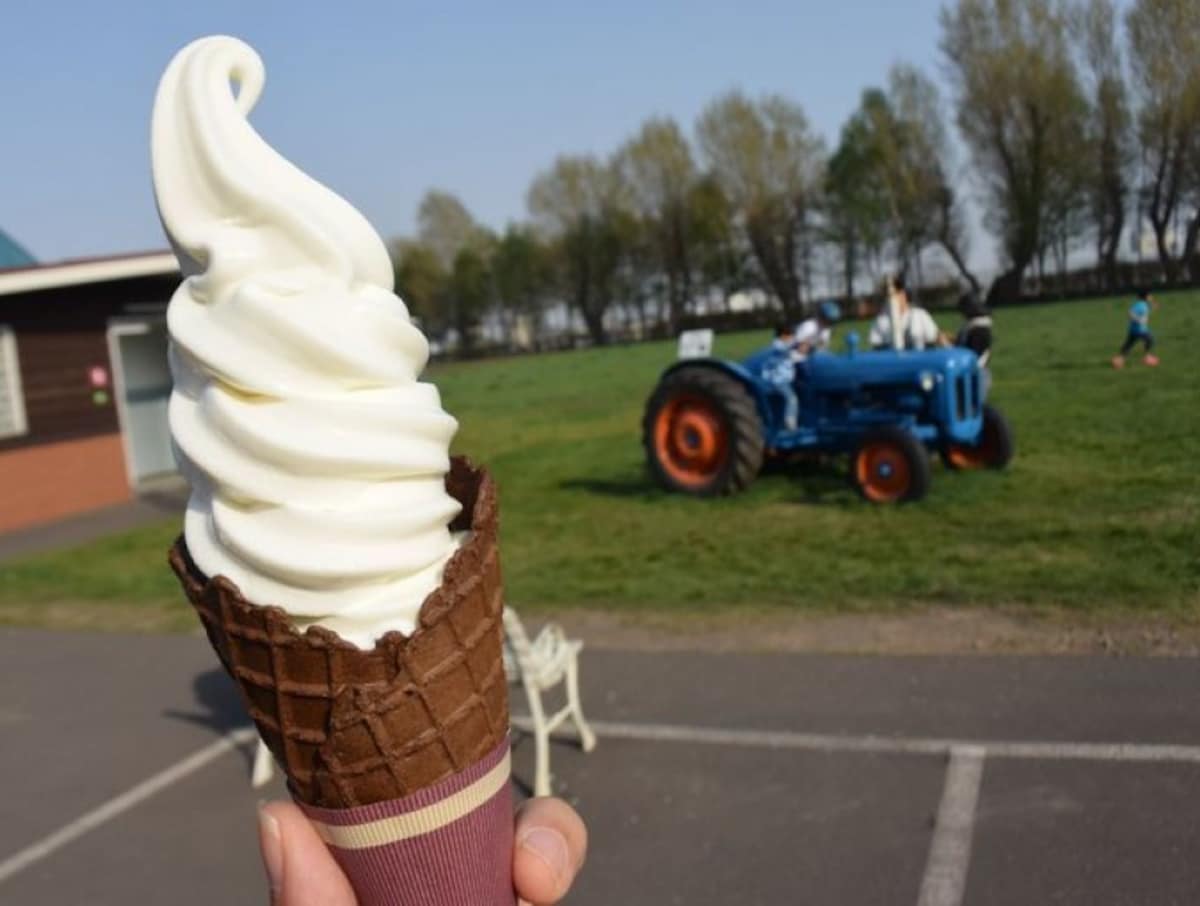 18. Fresh milk ice cream: Hakkougakuen