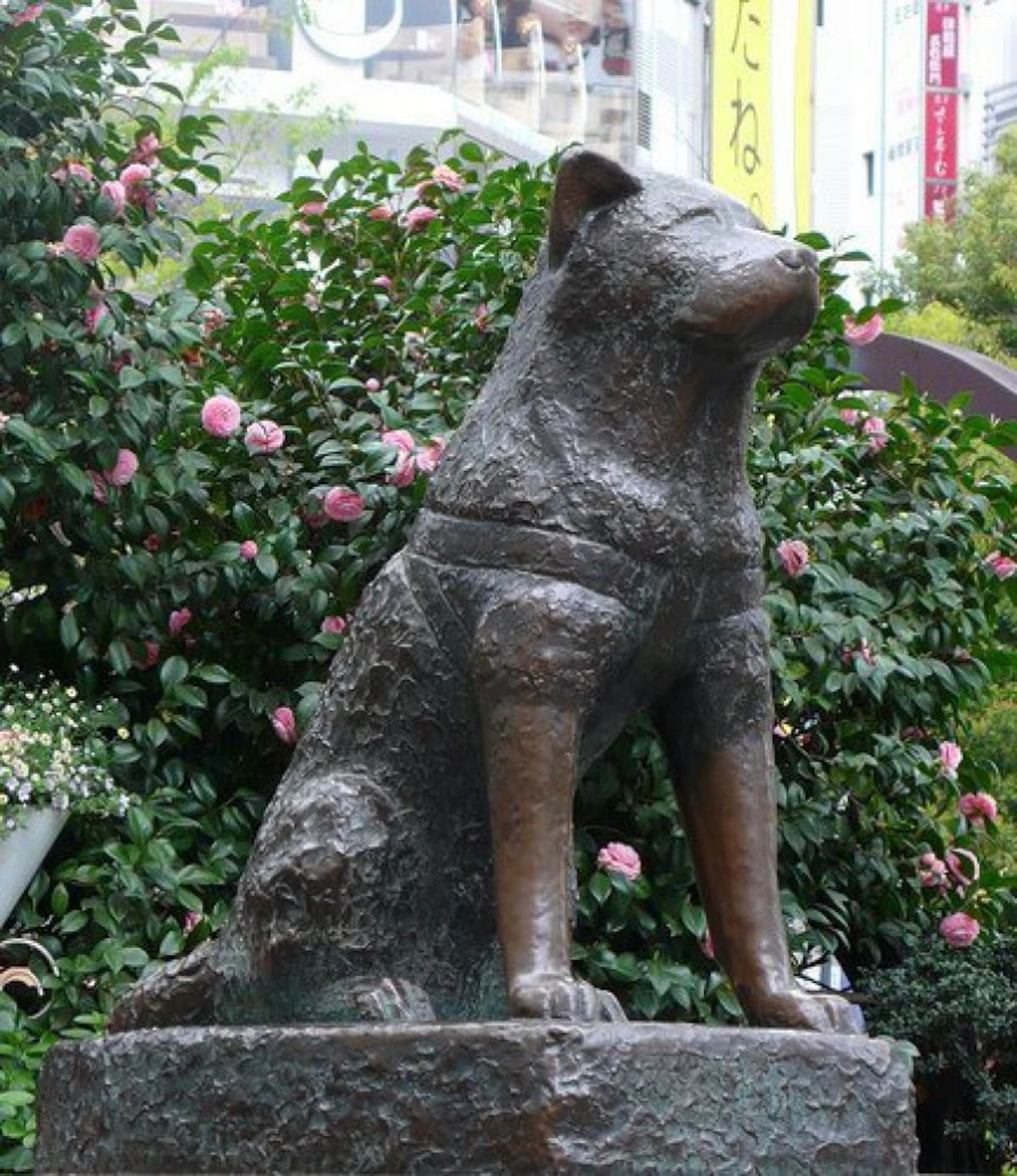 47. Hachiko Square, Shibuya, Tokyo