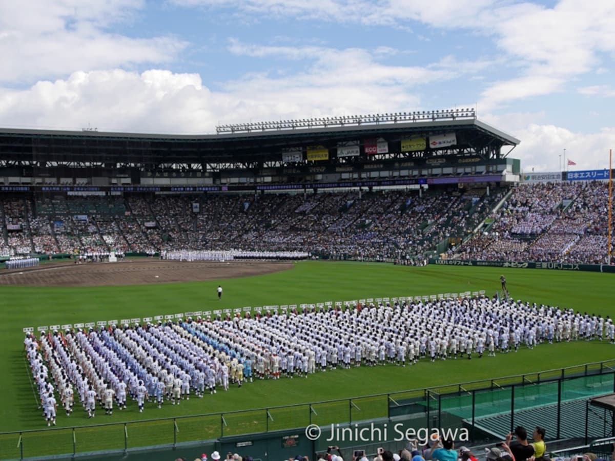 甲子园是连胜地方预选赛的棒球少年聚集的场所。