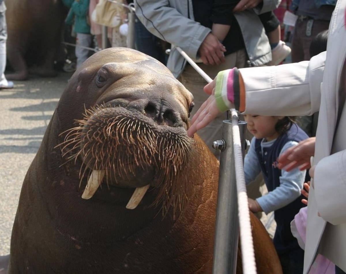 6. Oita Marine Palace Aquarium Umi-tamago (Oita)