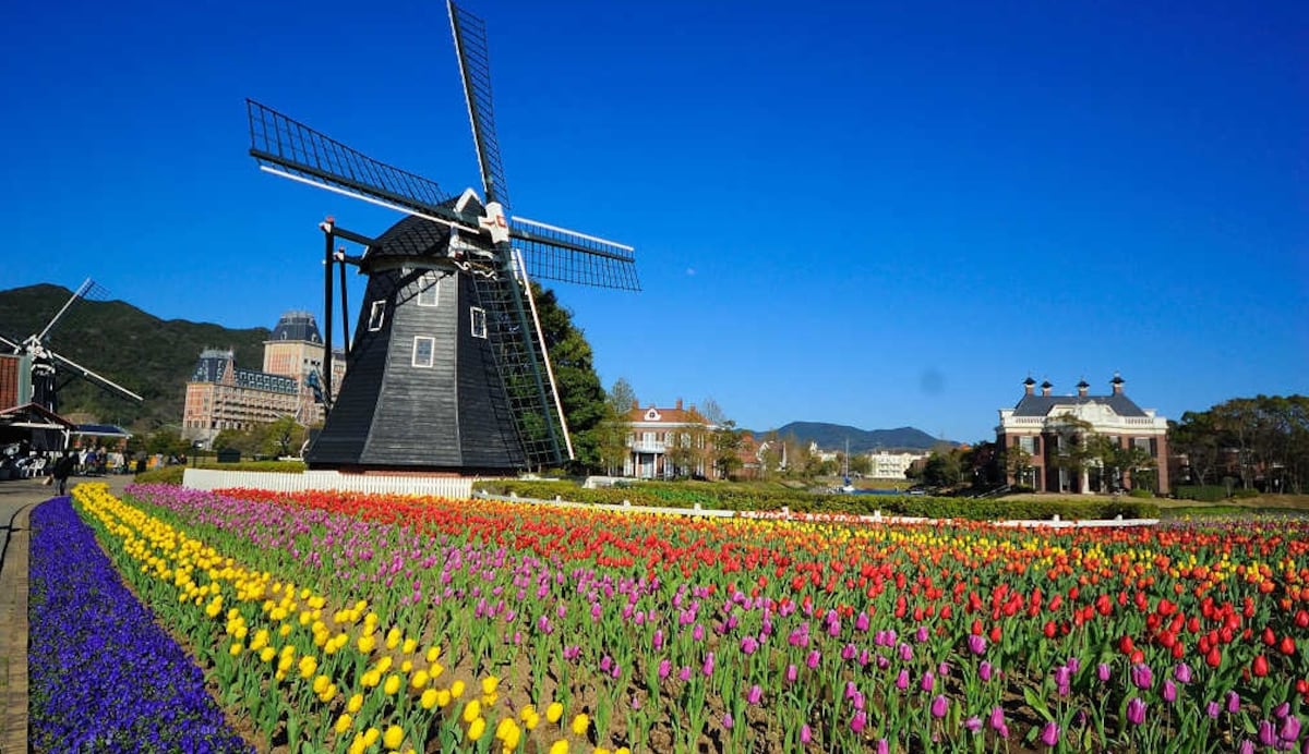 5. สวนสนุกธีมปาร์ค Huis Ten Bosch (Nagasaki)【บานช่วง ：เดือนมีนา - ต้นเดือนเมษา】