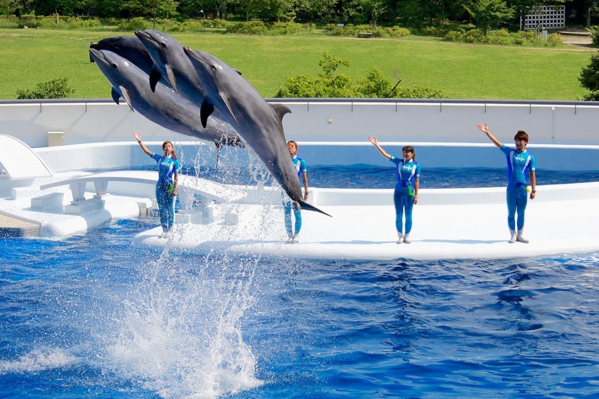 3. Kyoto Aquarium (Kyoto)