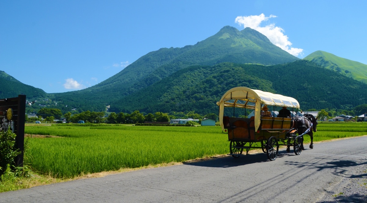 B. 宁静的田园风景和马车：大分县