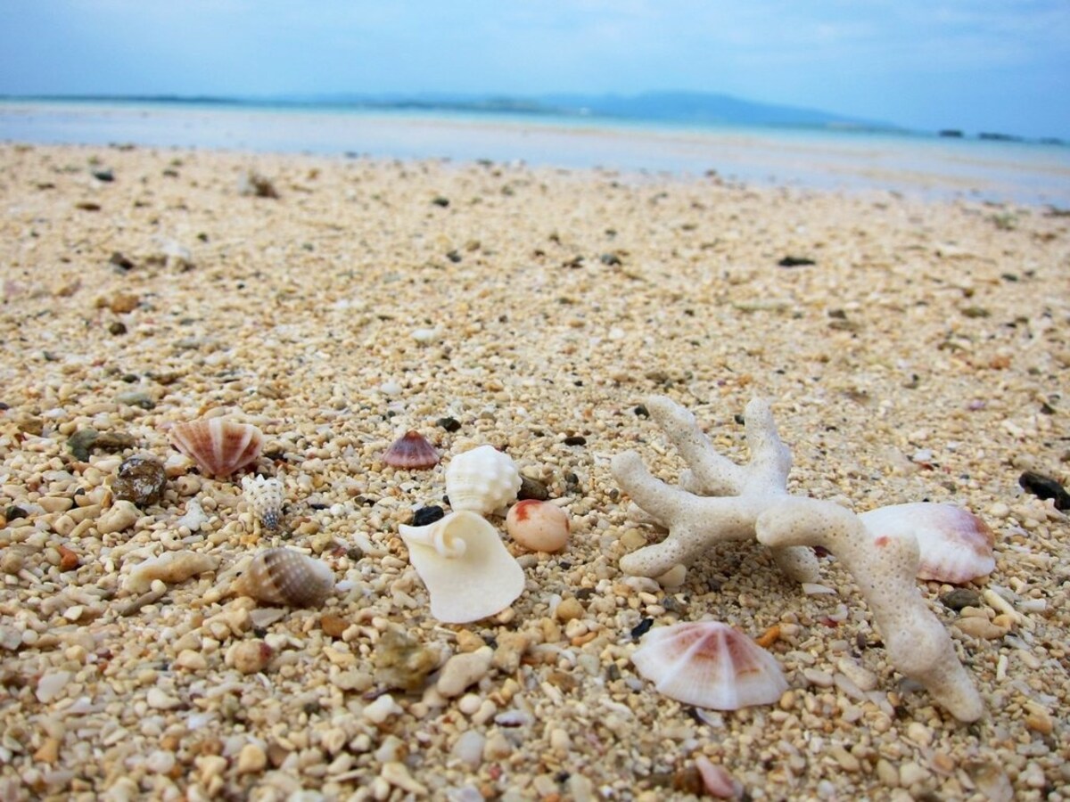 6. Sail for the sweet escape - Kohama Jima